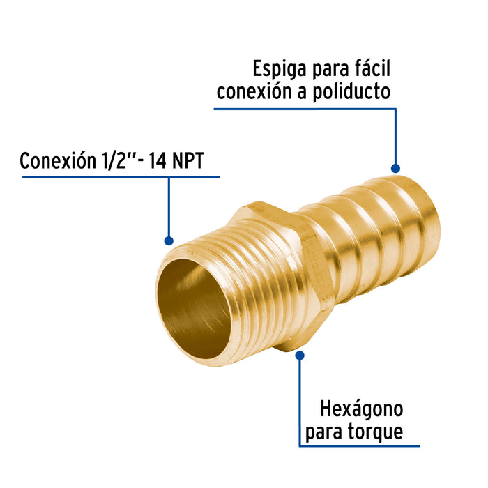 Adaptador macho de latón 1/2' para poliducto, Foset 49305