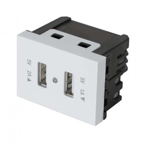 Toma con 2 puertos USB, 1.5 módulos, línea Española, blanco 47057 C2USB-EB