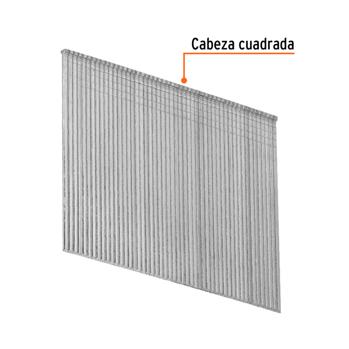 Caja con 2500 clavos calibre 16, 64 mm para CLNE-16, Truper 15017 CLANEU-16-64