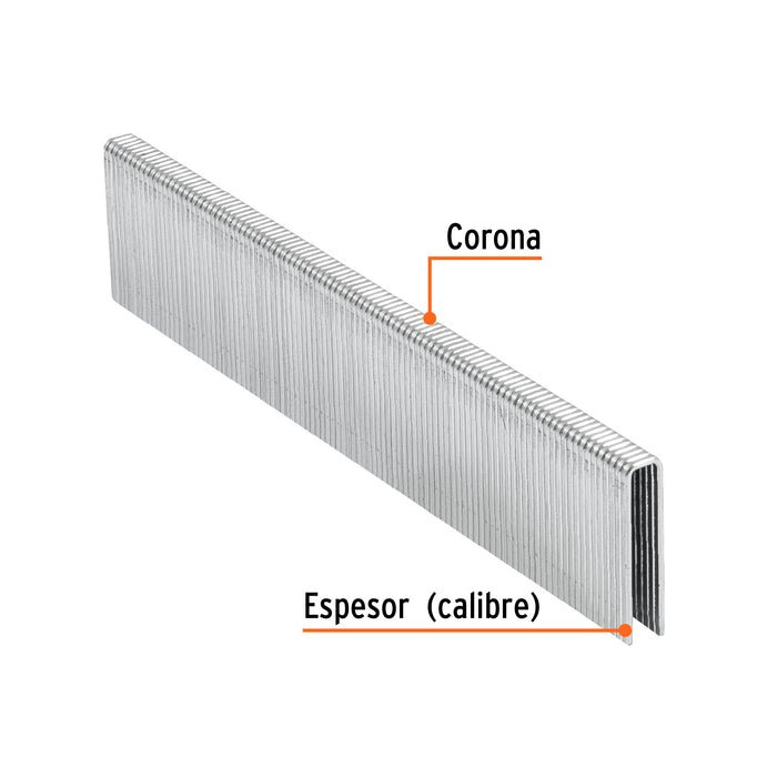 Caja con 5000 grapas corona 1/4' calibre 18, 25mm p/ENNE-120 Código: 18274