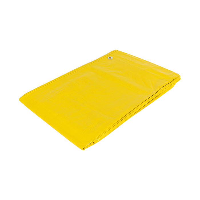 Lona 3 x 5 m, amarilla, Pretul 26160 LP-35A