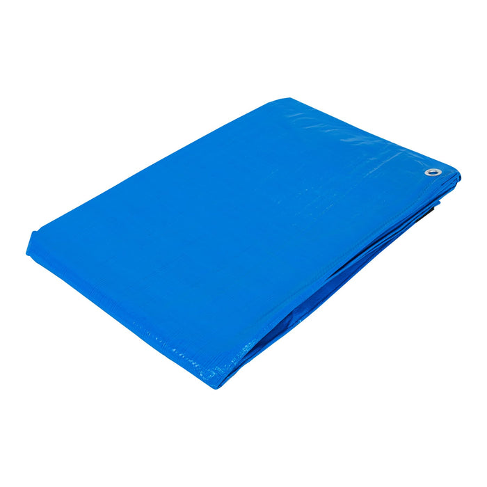 Lona 3 x 6 m, azul, Pretul 23779 LP-36