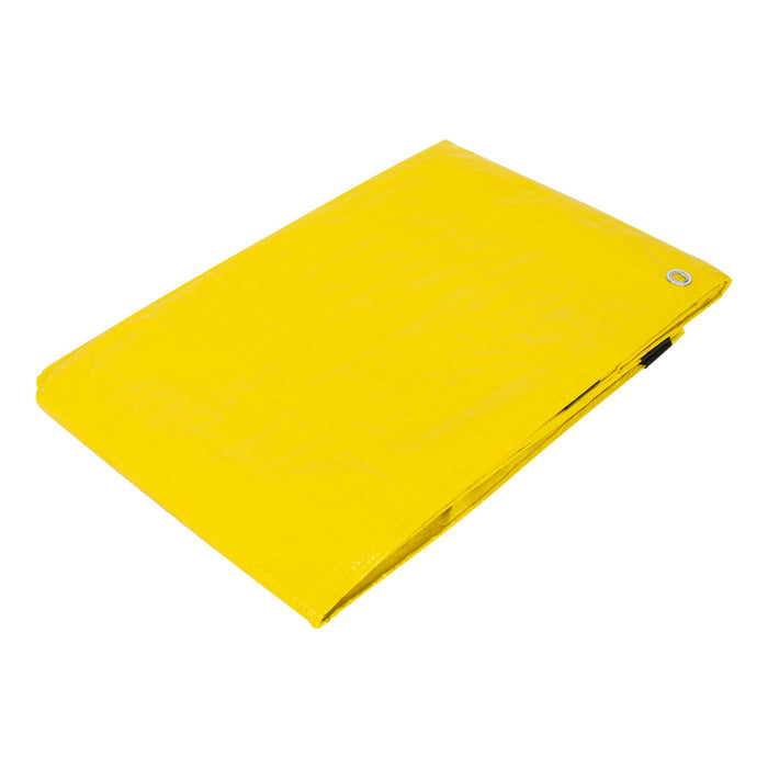 Lona 4 x 6 m, amarilla, Pretul 23743 LP-46A