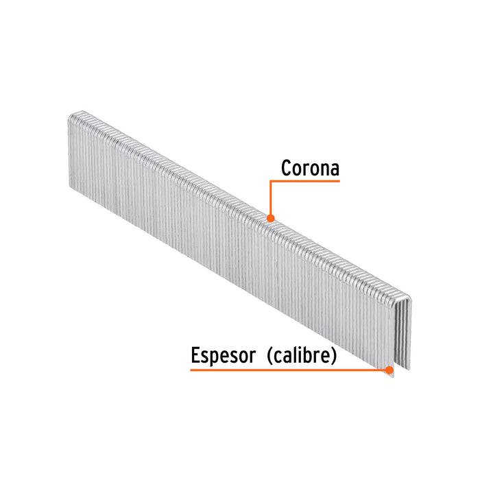Caja con 5000 grapas corona 1/4' calibre 18, 19mm p/ENNE-120 Código: 18272