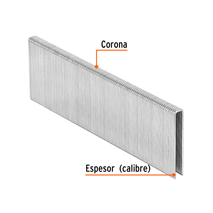 Caja con 5000 grapas corona 1/4' calibre 18, 38mm p/ENNE-120 Código: 18278