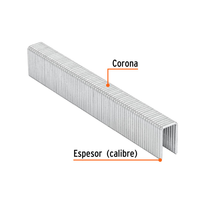 Caja con 1000 grapas corona 7/16' cal. 16, 19mm p/ENNE-160 Código: 13320