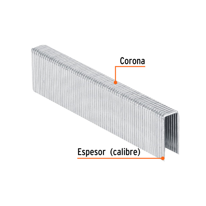 Caja con 1000 grapas corona 7/16' cal. 16, 25mm p/ENNE-160 Código: 13321