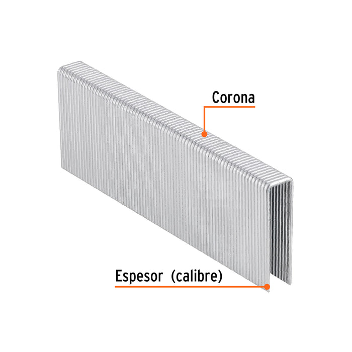 Caja con 1000 grapas corona 7/16' cal. 16, 38mm p/ENNE-160 Código: 13335
