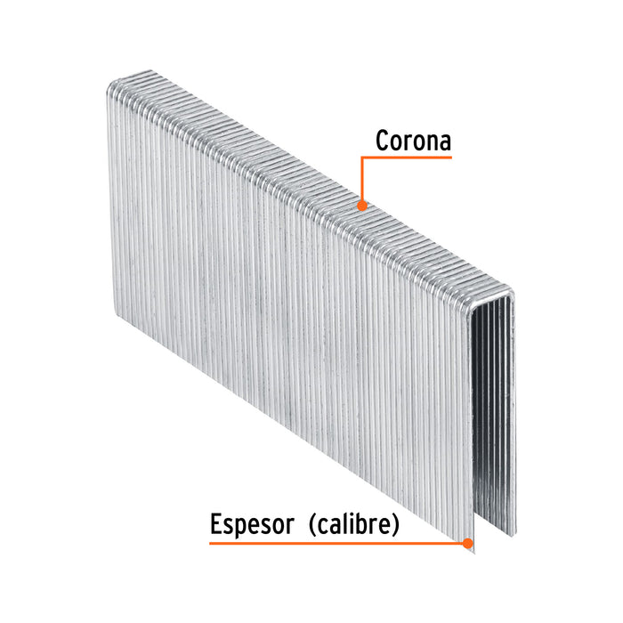 Caja con 1000 grapas corona 7/16' cal. 16, 50mm p/ENNE-160 Código: 13349